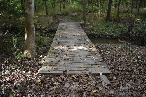 Wooden Trail Bridge