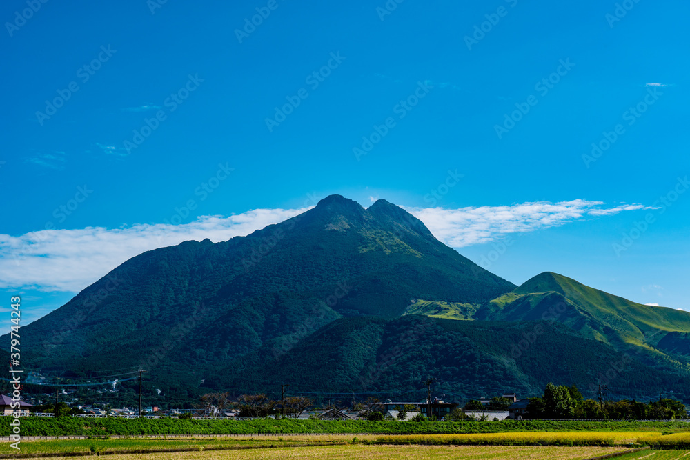 Fototapeta premium 由布岳 