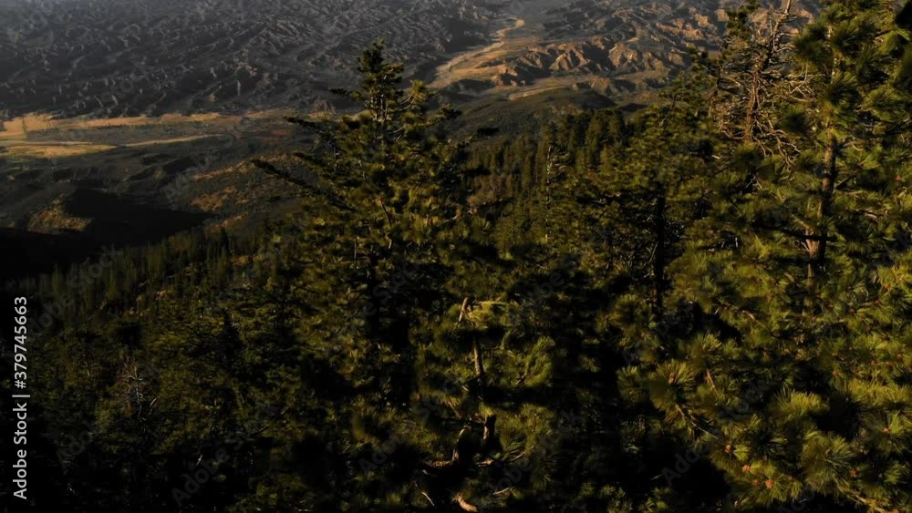 2020 - beautiful aerial over the Pine Mountain wilderness and tres slated to be logged and habitat removed by the U.S. forest service in an environmental controversy. 2020 - beautiful aerial over the Pine Mountain wilderness and tres slated to be logged and habitat removed by the U.S. forest service in an environmental controversy.