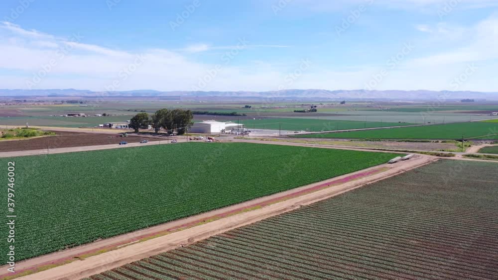 Establishing aerial over the fertile farm lands of the Santa Maria Valley, California. Establishing aerial over the fertile farm lands of the Santa Maria Valley, California.