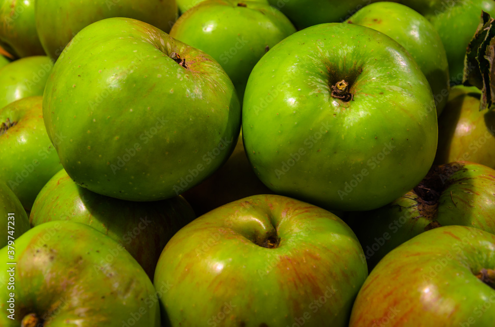 Apples Freshly Picked From Tree Food Background Apples Freshly Picked From Tree Food Background