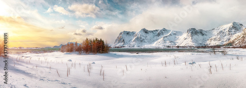 Wallpaper Mural Winter scenery with frozen fjord on Vestvagoy island at sunset with snowy  mountain peaks near Valberg Torontodigital.ca