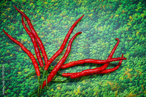 Red chilies on green leaf background