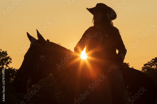 silhouette of a woman on a horse photo