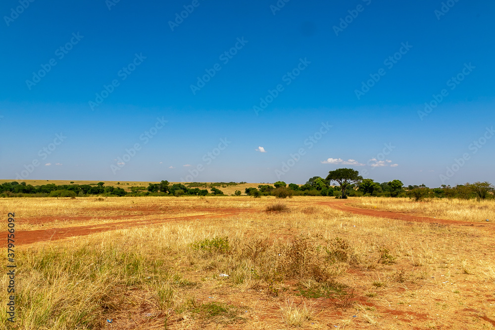 ケニアのマサイマラ国立保護区に広がる大草原と青空