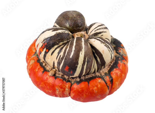 Turban squash isolated over white background photo