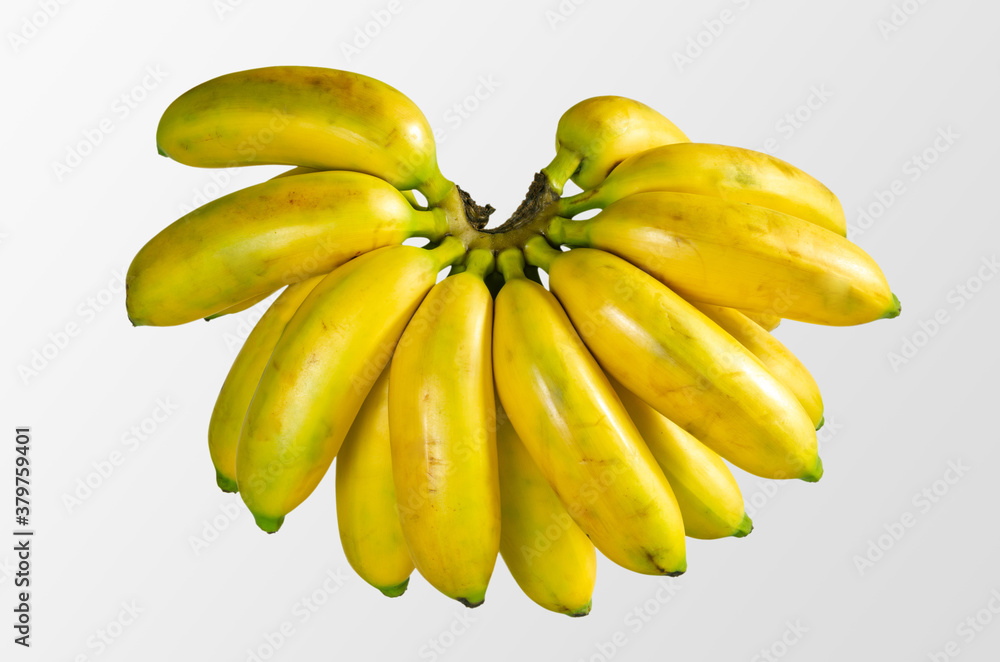 Raw organic bunch of baby bananas isolated on white background