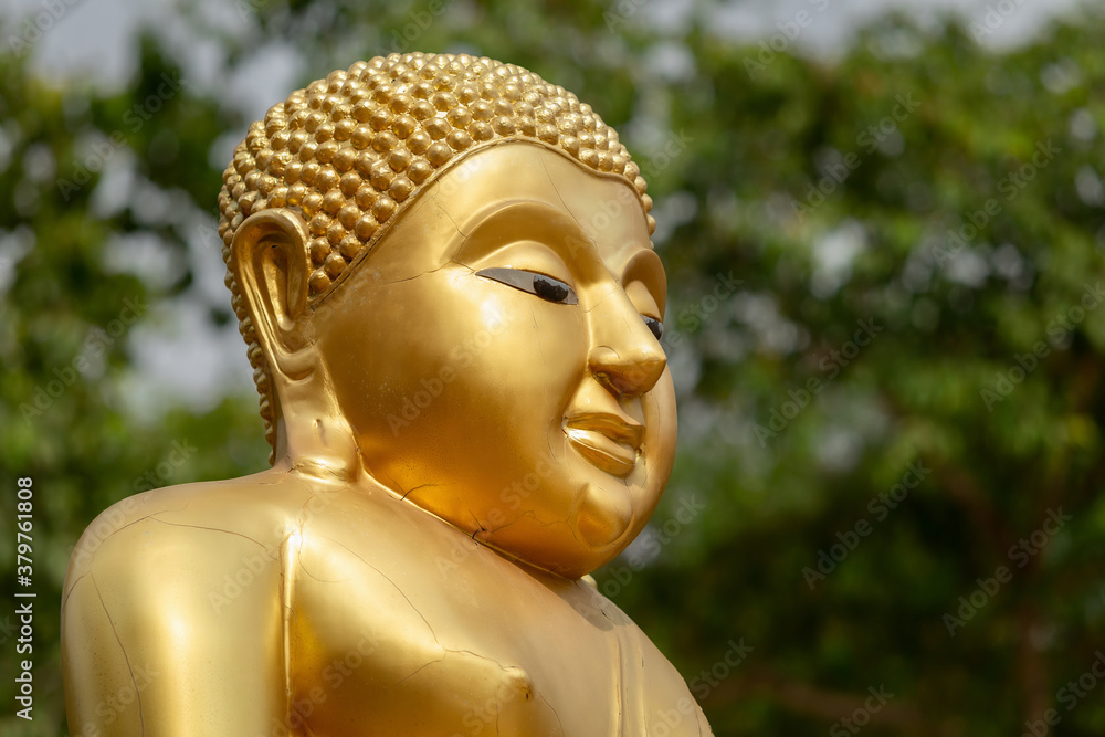 Buddha statue in natural background