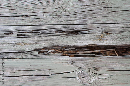 old wood background