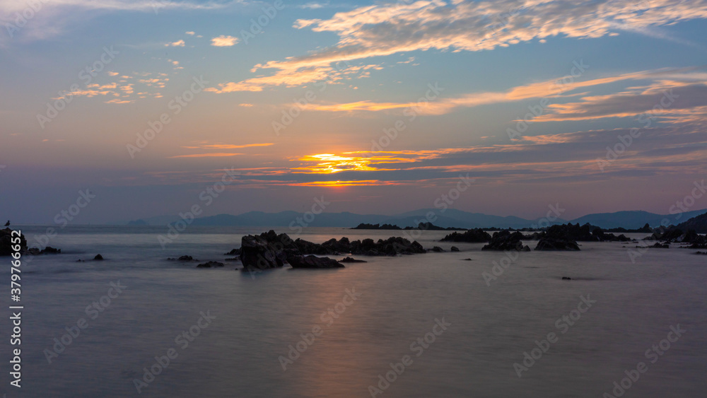 Fototapeta premium 소나무와 바다