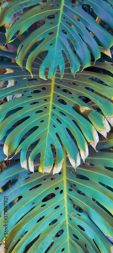 Finial Plants