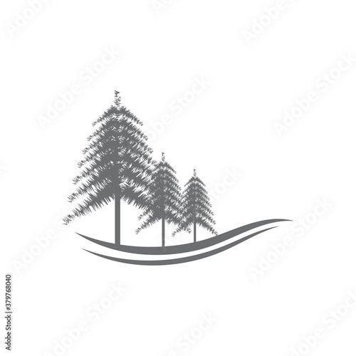 Pine tree ilustration logo vector design