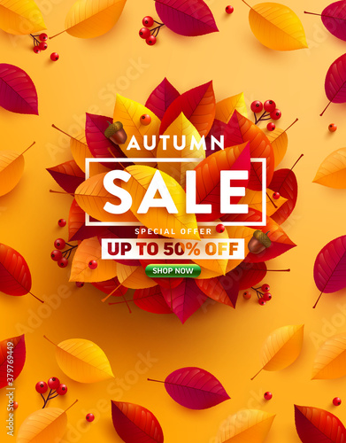 Autumn Sale 50% off poster or banner with autumn colorful leaves on yellow background.Greetings and presents for Autumn season.Vector illustration eps 10