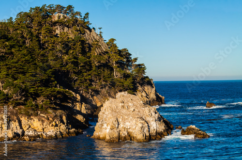 Cypress Trees Hanging On The Steep Cliffs of Big Dome, Point Lobos State Natural reserve, Big Sur, California,USA