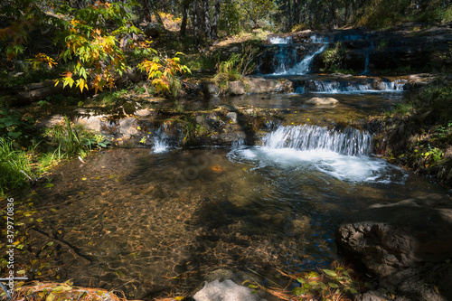 Fototapeta Naklejka Na Ścianę i Meble -  Waterfall in autumn forest, beautiful morning in the Horton Creek, Payson Arizona. Copy space for text