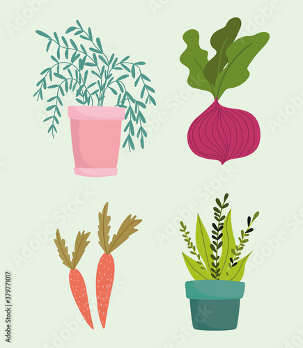 gardening, beetroot potted plant carrots icons