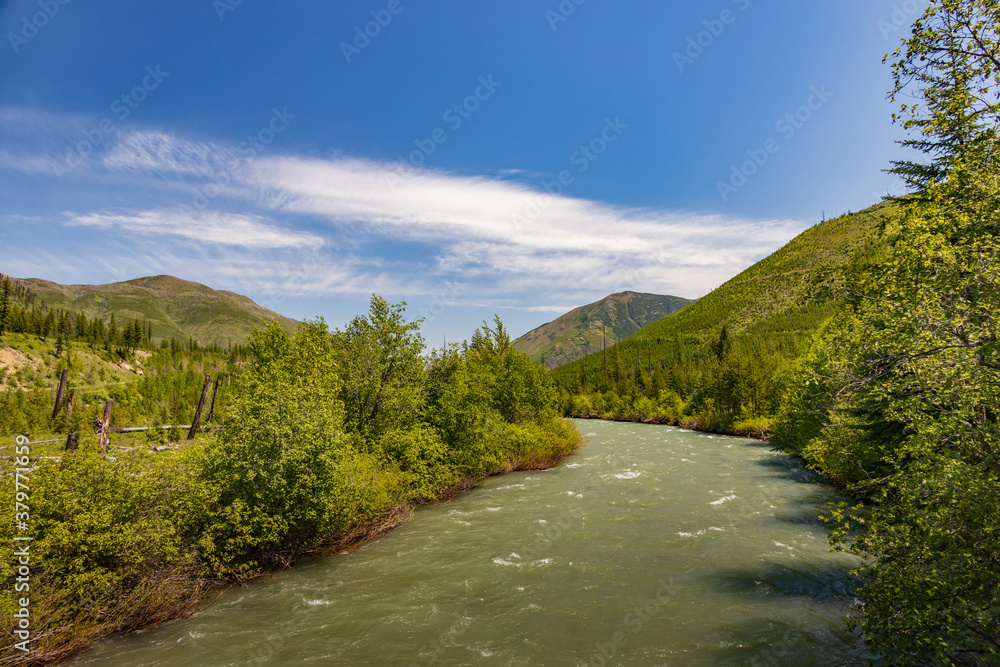 Spring at North Fork Flathead River with mountain background