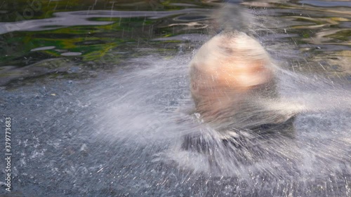 Closeup of a brown bear swimming, on a sunny summer day - Ursus arctos - Static view photo