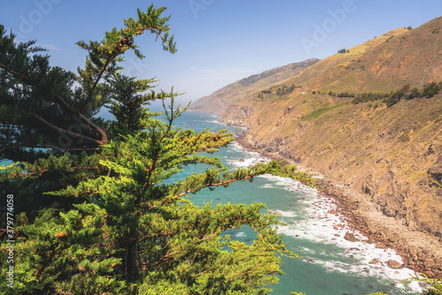 Big Sur at Ragged Point, California Coastline.  Scenic view of cliffs, ocean, and Cypress trees