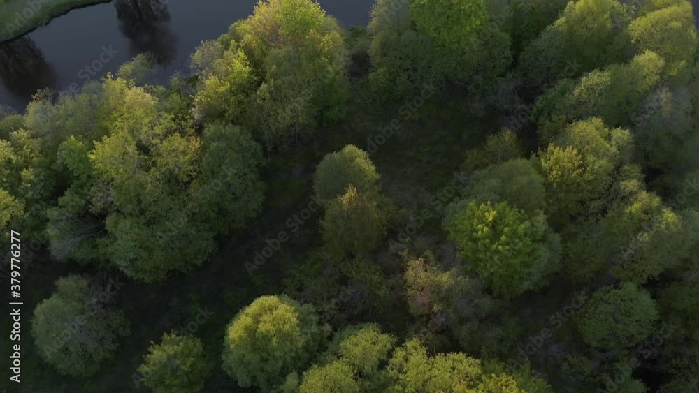 River in Lush Environement in Latvia Nature Park, Aerial Drone Overhead View River in Lush Environement in Latvia Nature Park, Aerial Drone Overhead View