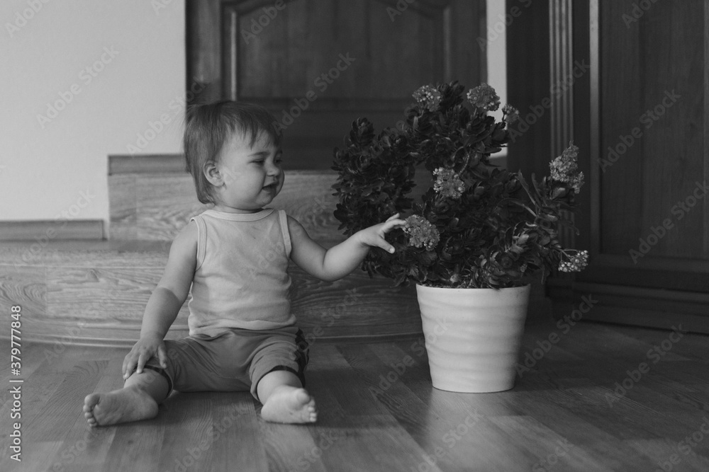 a small child is sitting on the floor next to a large flower in a pot. girl rips off a plant a small child is sitting on the floor next to a large flower in a pot. girl rips off a plant