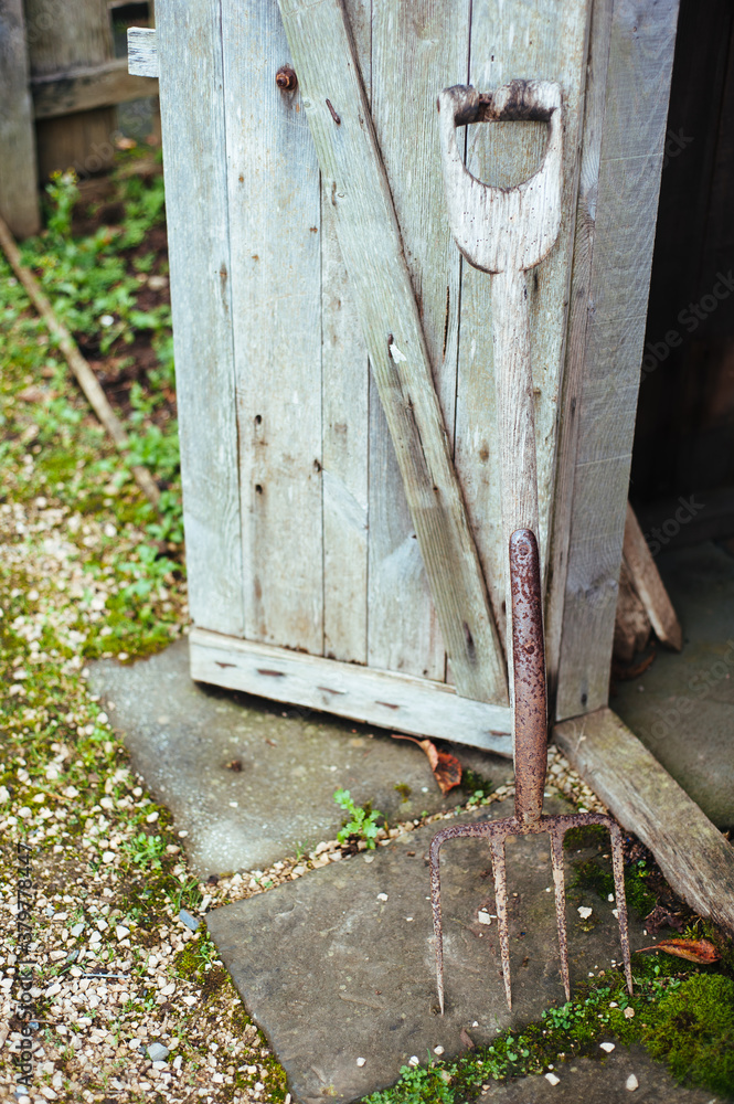 Rusty garden fork leaning against shed door Rusty garden fork leaning against shed door