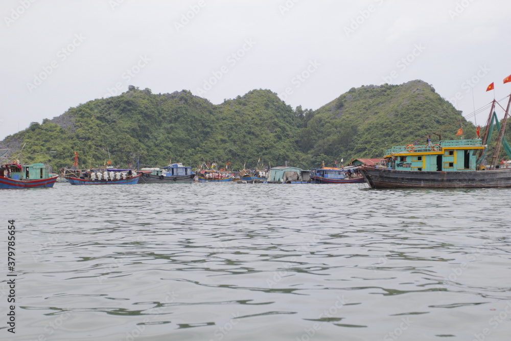 Fototapeta premium HA LONG BAY, VIETNAM - NOVEMBER 13, 2018: Halong Bay, Vietnam. Unesco World Heritage Site. Traditional tourist boats.