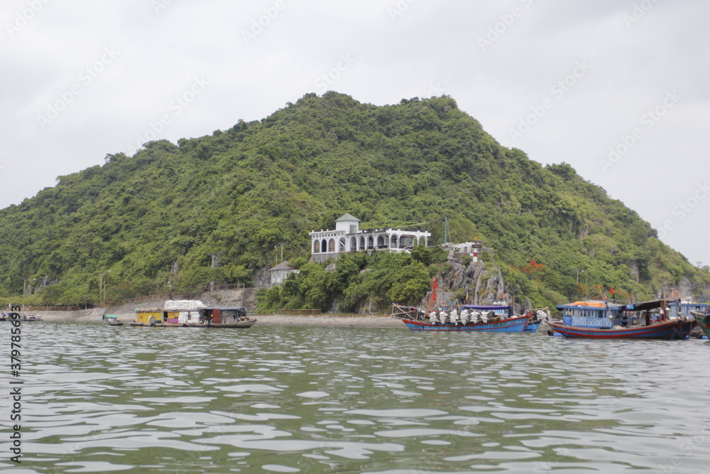 Fototapeta premium HA LONG BAY, VIETNAM - NOVEMBER 13, 2018: Halong Bay, Vietnam. Unesco World Heritage Site. Traditional tourist boats.