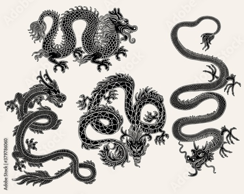 Set of Chinese dragon images in black engraved vector illustration isolated.