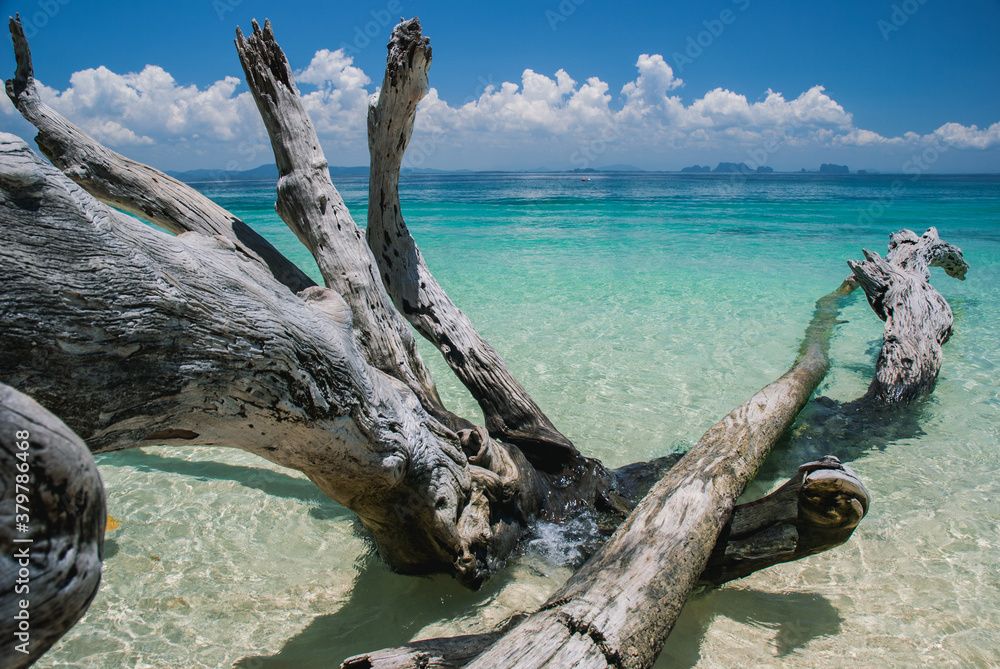 Timber on the beach Timber on the beach