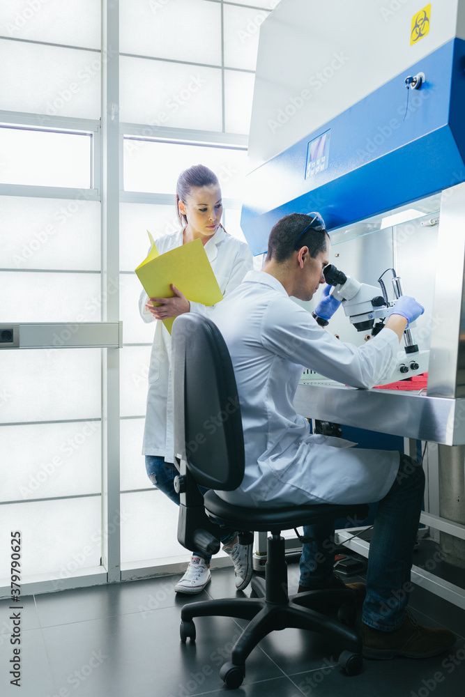 Young Researchers Working in a Professional Laboratory Young Researchers Working in a Professional Laboratory