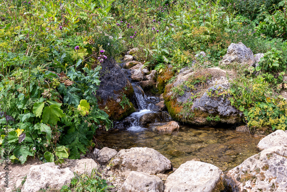 Mountain rivers are the most environmentally friendly waters on all continents. Mountain rivers are the most environmentally friendly waters on all continents.