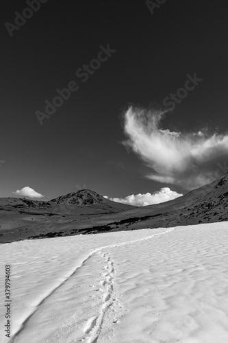 Continental Divide Trail, Colorado