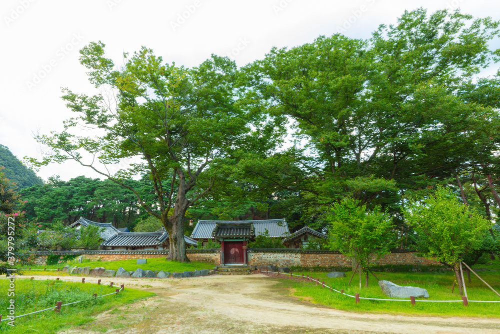 Naklejka premium 바다와 꽃