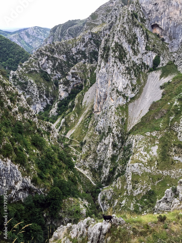 Senda de La PeÔøΩÔøΩa (Tresviso's Trail), Cantabria, Spain (Digital Version) photo