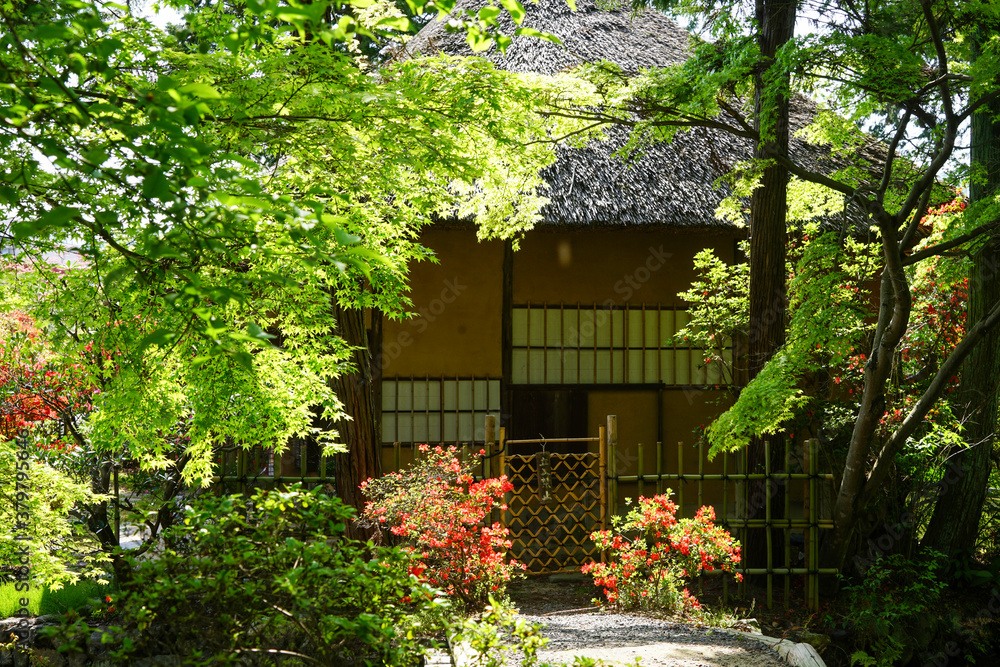 初夏の日本庭園の風景 初夏の日本庭園の風景