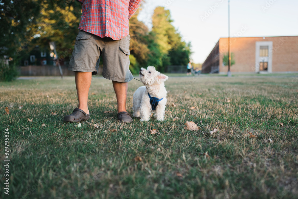 A dog and her owner on a walk A dog and her owner on a walk