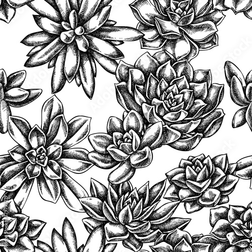 Seamless pattern with black and white succulent echeveria