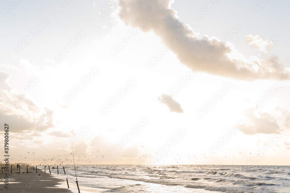 Galveston Island, Texas. Galveston Island, Texas.