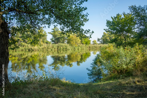 Autumn landscape, vegetation along the river