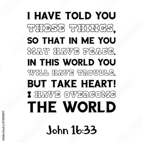 I have told you these things, so that in me you may have peace. In this world you will have trouble. Bible verse quote