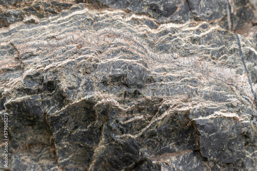Serpentinite with chrysotile asbestos. Mineral composition is serpentine, chrysotile asbestos, magnetite, lizardite. Composed of long and thin fibrous crystals. Selective focus.
