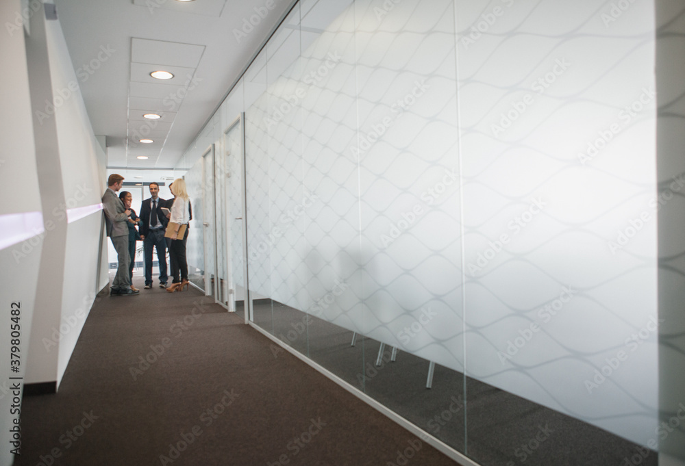Business People in the Hallway Business People in the Hallway