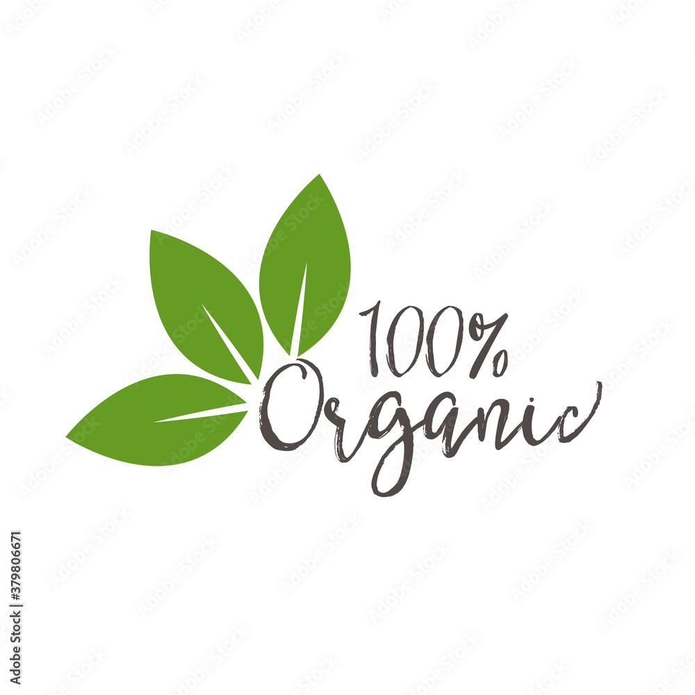 Organic natural product icon and elements vector