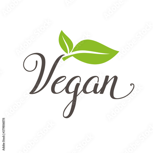 vegan natural product icon and elements vector