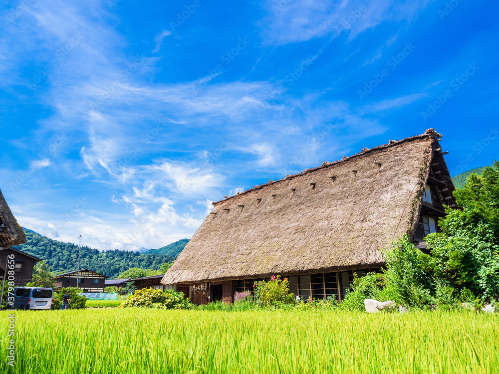 日本の原風景 夏の白川郷 日本の原風景 夏の白川郷