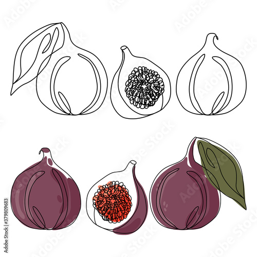 Continuous line drawing of a flower in a pot. Beautiful flower Isolated on a white background. Vector illustration