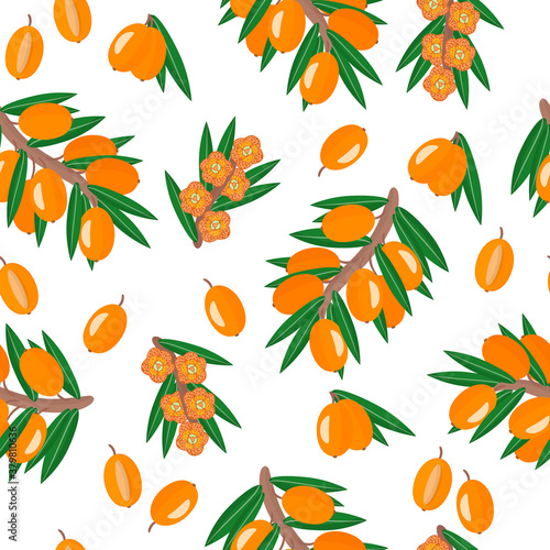 Vector cartoon seamless pattern with Hippophae or Sea buckthorn exotic fruits, flowers and leafs on white background