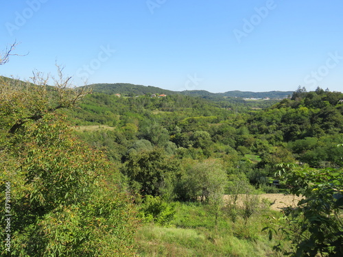 Waldgebiet in Pazin, Istrien, Kroatien