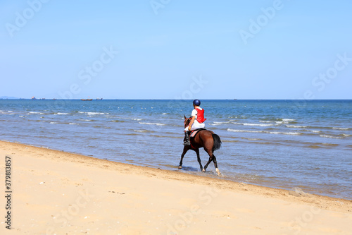 Race horse and jockey galloping on the beach